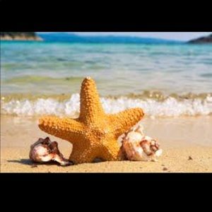 Meet your Posher, Trudy